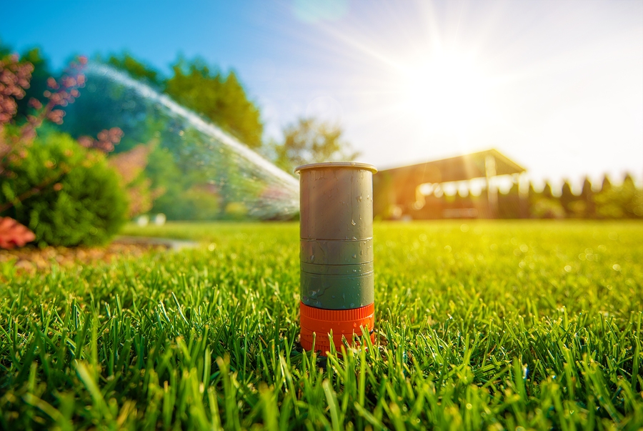 https://challengerirrigation.com/wp-content/uploads/2016/08/How-to-Choose-the-Right-Sprinkler-Head-for-Your-Lawn.jpg