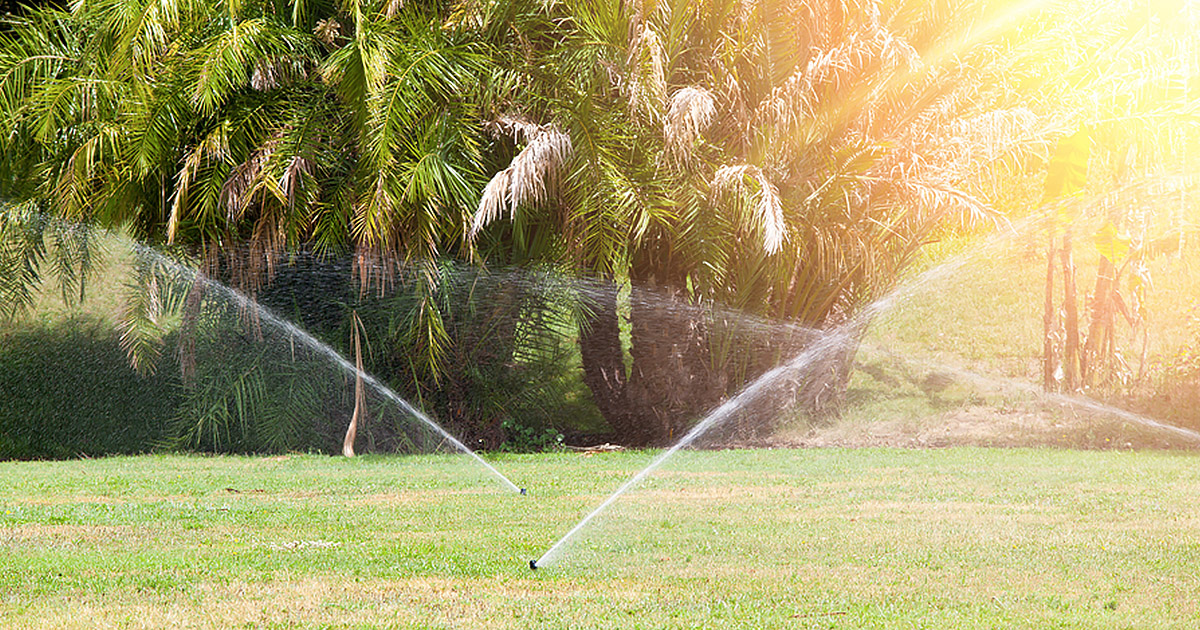 The History of the Lawn Sprinkler - Challenger Irrigation